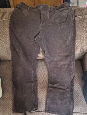 CJ Banks Classic Women's Corduroy Pants in Chocolate Brown